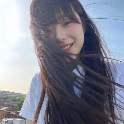 哈兰·科本的庇护所