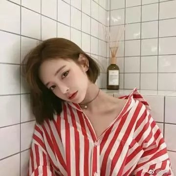爱出猫